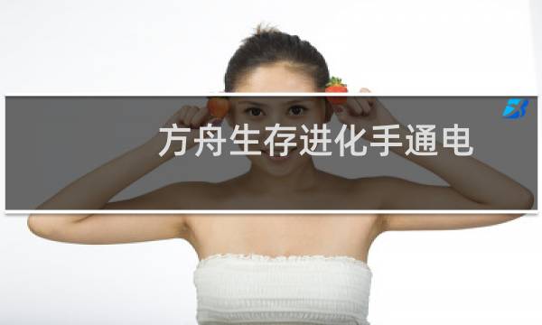 方舟生存进化手通电