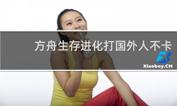 方舟生存进化打国外人不卡