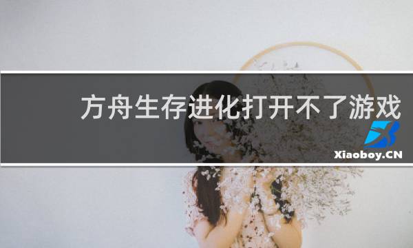方舟生存进化打开不了游戏