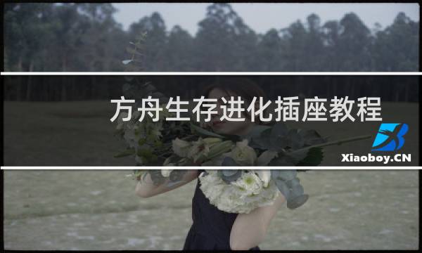 方舟生存进化插座教程