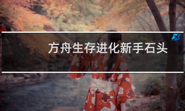方舟生存进化新手石头