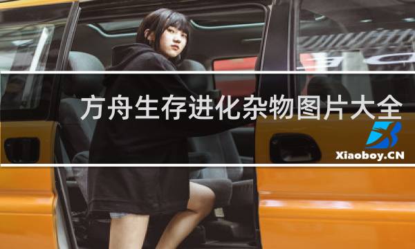 方舟生存进化杂物图片大全