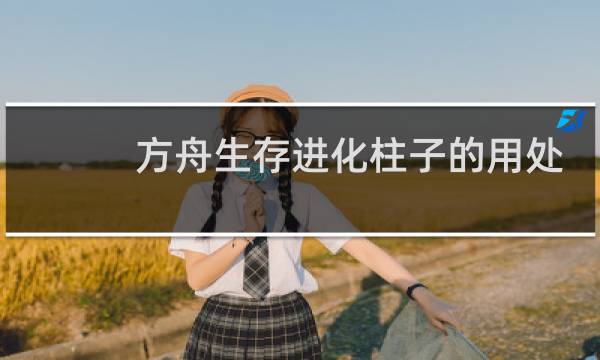 方舟生存进化柱子的用处