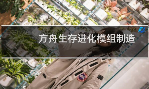 方舟生存进化模组制造