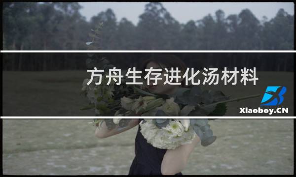 方舟生存进化汤材料
