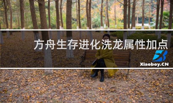 方舟生存进化洗龙属性加点