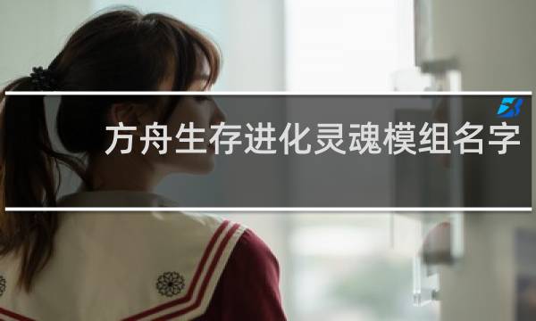 方舟生存进化灵魂模组名字