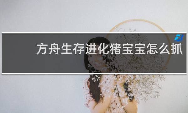 方舟生存进化猪宝宝怎么抓