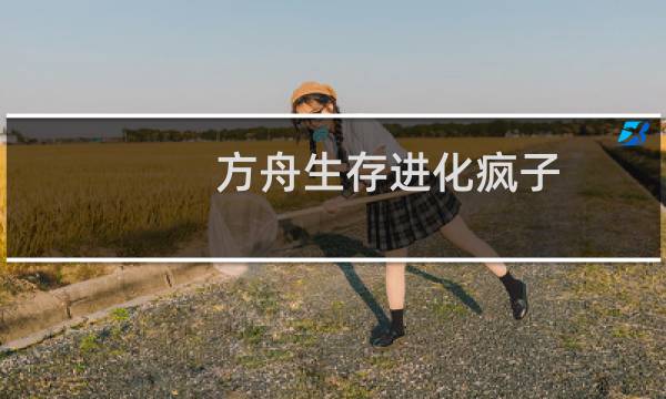 方舟生存进化疯子