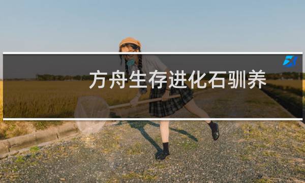 方舟生存进化石驯养