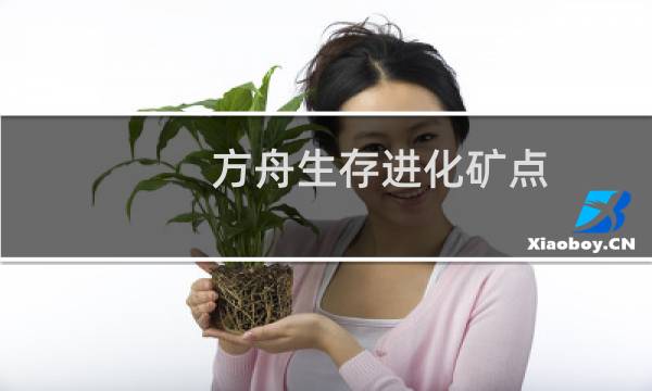 方舟生存进化矿点