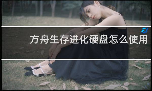 方舟生存进化硬盘怎么使用
