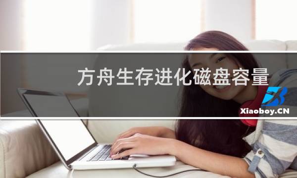 方舟生存进化磁盘容量