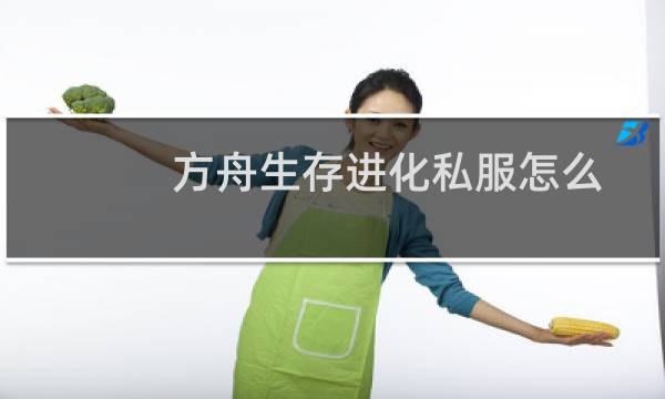 方舟生存进化私服怎么