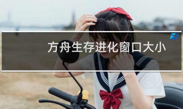 方舟生存进化窗口大小