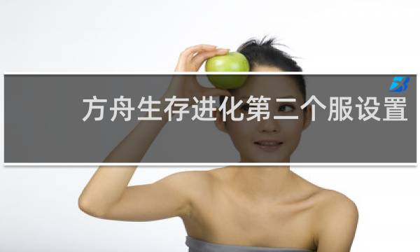 方舟生存进化第二个服设置