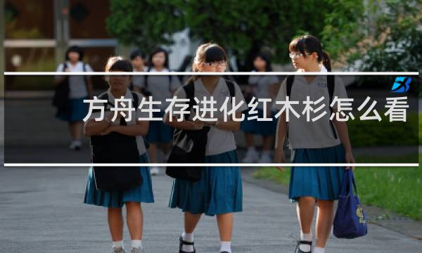 方舟生存进化红木杉怎么看