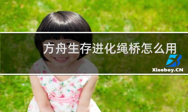 方舟生存进化绳桥怎么用