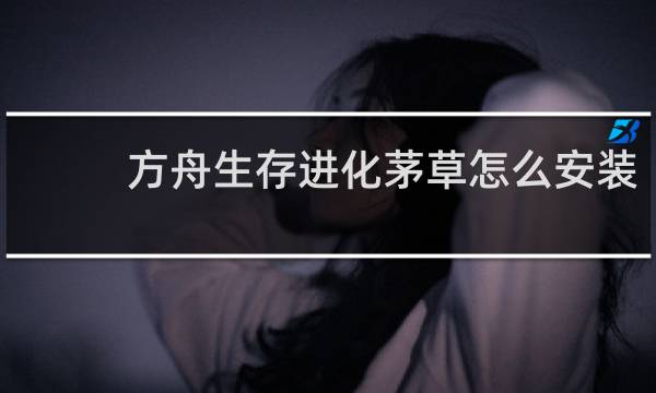 方舟生存进化茅草怎么安装