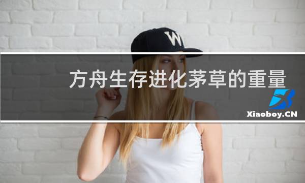 方舟生存进化茅草的重量