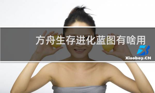 方舟生存进化蓝图有啥用