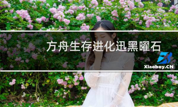 方舟生存进化迅黑曜石