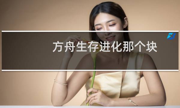 方舟生存进化那个块