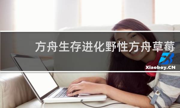 方舟生存进化野性方舟草莓