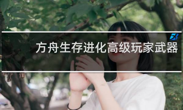 方舟生存进化高级玩家武器