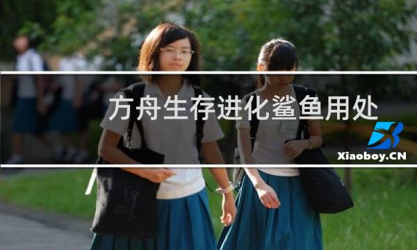 方舟生存进化鲨鱼用处