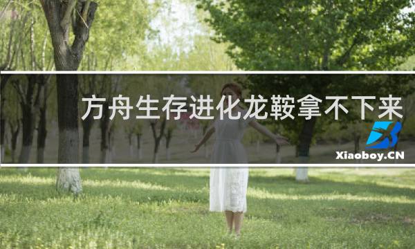方舟生存进化龙鞍拿不下来