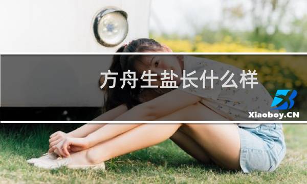 方舟生盐长什么样