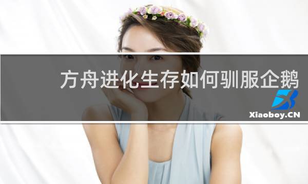 方舟进化生存如何驯服企鹅