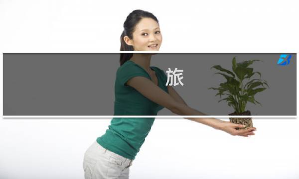 旅  攻略下载