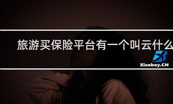 旅游买保险平台有一个叫云什么的