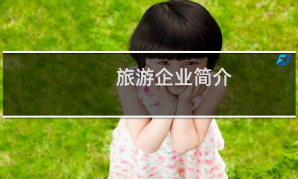 旅游企業(yè)簡(jiǎn)介