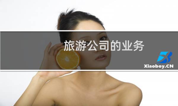 旅游公司的業(yè)務(wù)