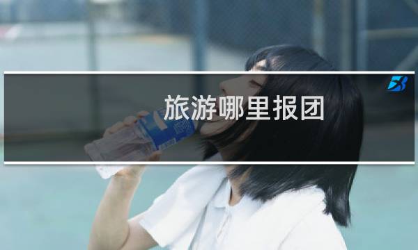 旅游哪里报团