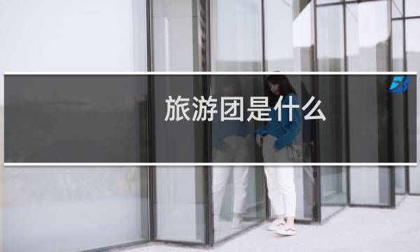 旅游团是什么