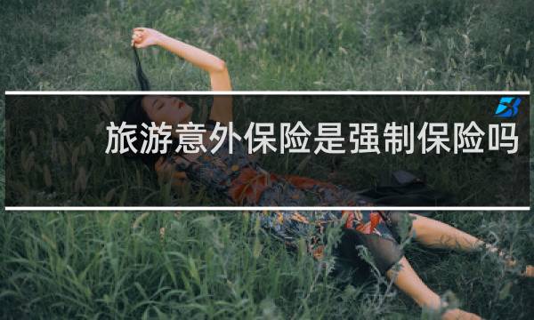 旅游意外保险是强制保险吗