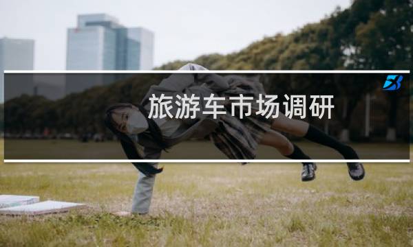 旅游车市场调研