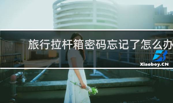 旅行拉桿箱密碼忘記了怎么辦?