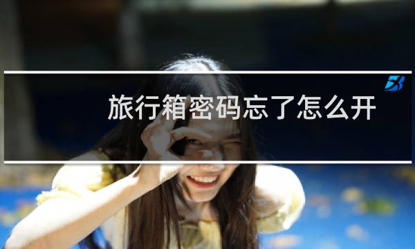 旅行箱密码忘了怎么开