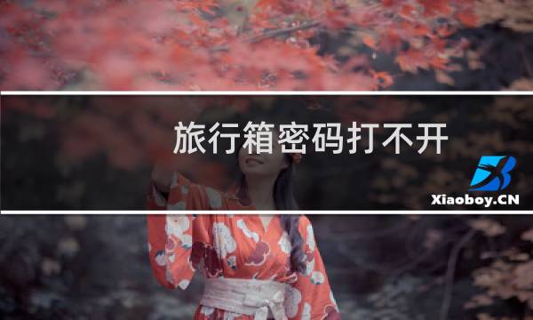 旅行箱密码打不开