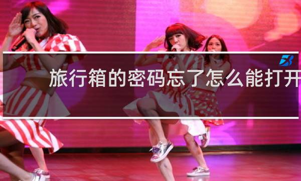 旅行箱的密码忘了怎么能打开