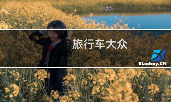 旅行车大众