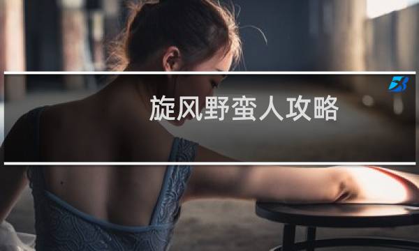 旋风野蛮人攻略