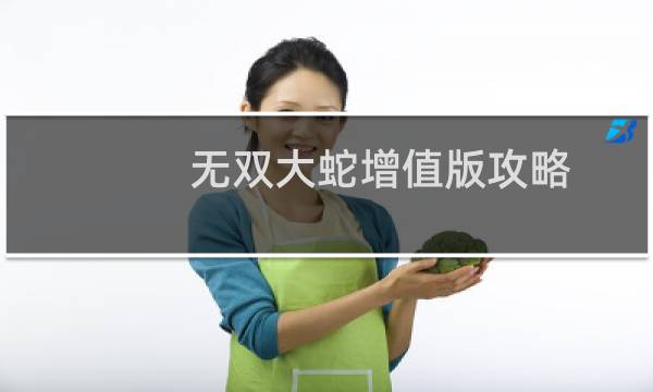无双大蛇增值版攻略