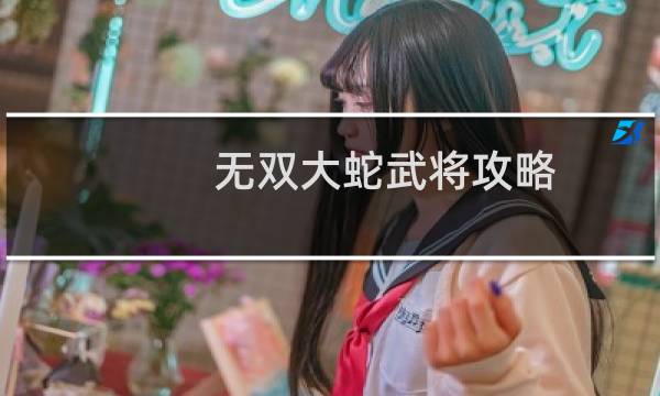 无双大蛇武将攻略
