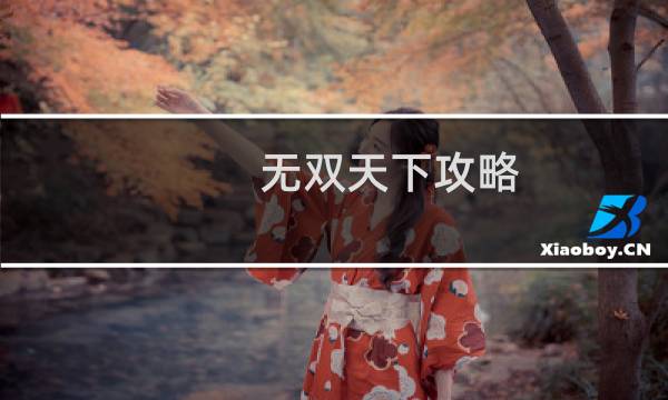 无双天下攻略